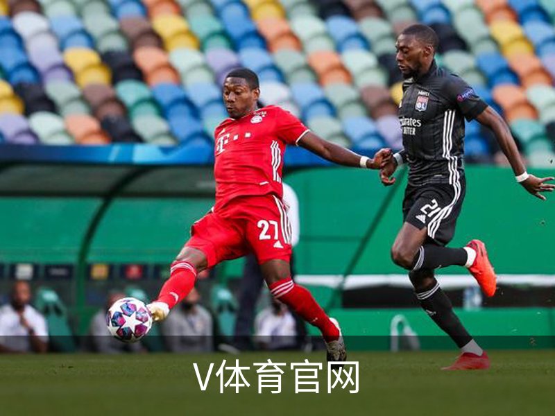 V体育官网介绍